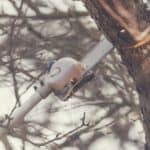 Best Pole Saw For Tree Trimming 1