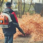 Best Gas Leaf Blower For Debris Removal 2