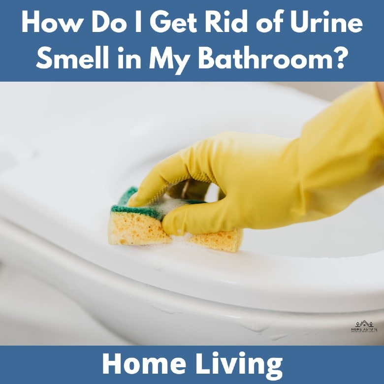 How Do I Get Rid of Urine Smell in My Bathroom? | Home Astute